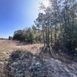 Photo #23 of SOLD property in Off River Rd, Vanceboro, NC 81.5 acres