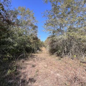 Photo #27 of SOLD property in Off River Rd, Vanceboro, NC 81.5 acres