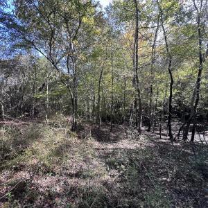 Photo #28 of SOLD property in Off River Rd, Vanceboro, NC 81.5 acres