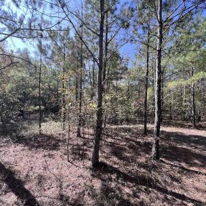 Photo #30 of SOLD property in Off River Rd, Vanceboro, NC 81.5 acres
