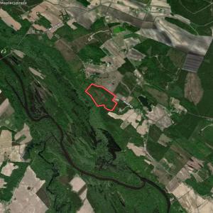 Photo #31 of SOLD property in Off River Rd, Vanceboro, NC 81.5 acres