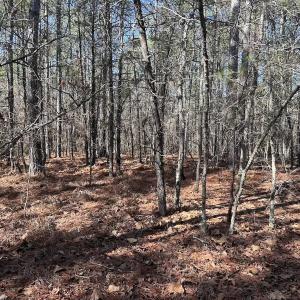 Photo #10 of North Forsythe Ln, Cameron, NC 4.6 acres