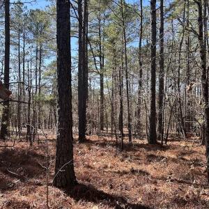 Photo #12 of North Forsythe Ln, Cameron, NC 4.6 acres