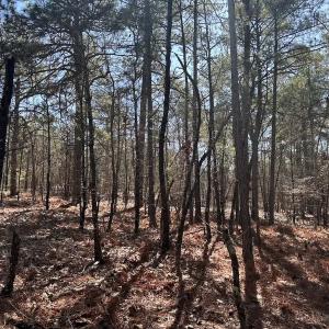 Photo #14 of North Forsythe Ln, Cameron, NC 4.6 acres
