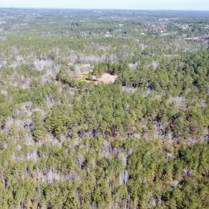 Photo #17 of North Forsythe Ln, Cameron, NC 4.6 acres