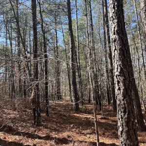 Photo #18 of North Forsythe Ln, Cameron, NC 4.6 acres
