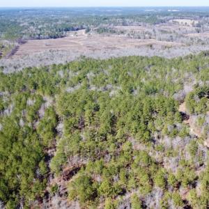 Photo #21 of North Forsythe Ln, Cameron, NC 4.6 acres