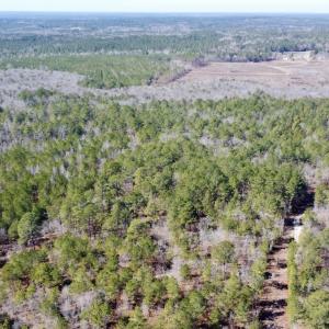 Photo #22 of North Forsythe Ln, Cameron, NC 4.6 acres