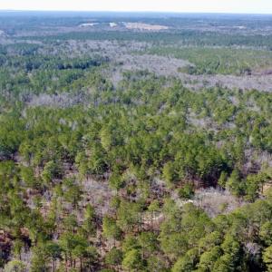 Photo #23 of North Forsythe Ln, Cameron, NC 4.6 acres
