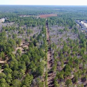 Photo #24 of North Forsythe Ln, Cameron, NC 4.6 acres