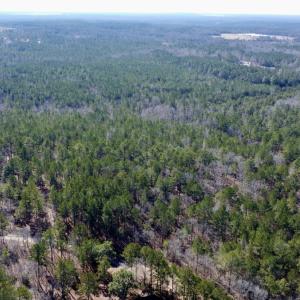 Photo #3 of North Forsythe Ln, Cameron, NC 4.6 acres