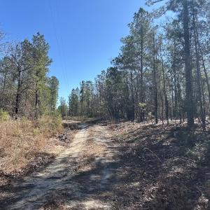 Photo #4 of North Forsythe Ln, Cameron, NC 4.6 acres