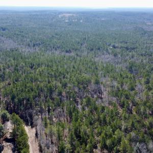 Photo #5 of North Forsythe Ln, Cameron, NC 4.6 acres