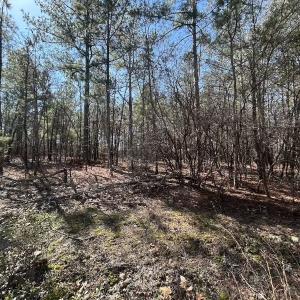 Photo #6 of North Forsythe Ln, Cameron, NC 4.6 acres
