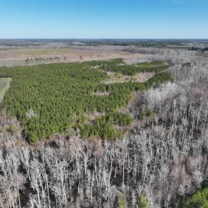 Photo #1 of Off Middle Swamp Rd, Corapeake, NC 234.4 acres