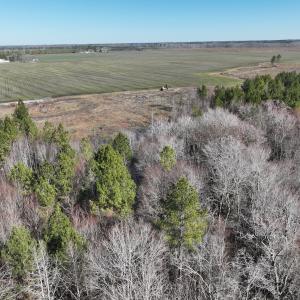 Photo #9 of Off Middle Swamp Rd, Corapeake, NC 234.4 acres