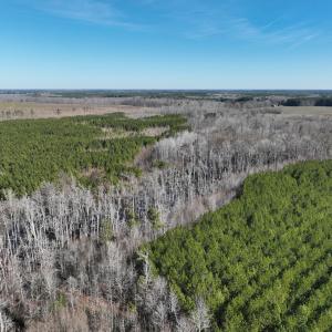 Photo #2 of Off Middle Swamp Rd, Corapeake, NC 234.4 acres
