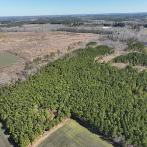 Photo #3 of Off Middle Swamp Rd, Corapeake, NC 234.4 acres