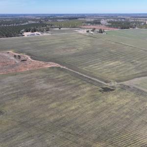 Photo #4 of Off Middle Swamp Rd, Corapeake, NC 234.4 acres