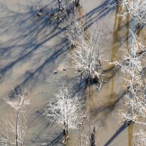 Photo #6 of Off Middle Swamp Rd, Corapeake, NC 234.4 acres