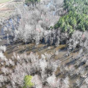 Photo #19 of Off Middle Swamp Rd, Corapeake, NC 234.4 acres