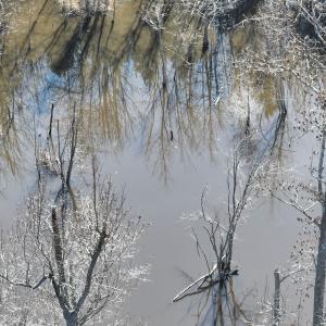 Photo #20 of Off Middle Swamp Rd, Corapeake, NC 234.4 acres
