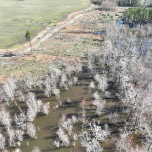 Photo #21 of Off Middle Swamp Rd, Corapeake, NC 234.4 acres