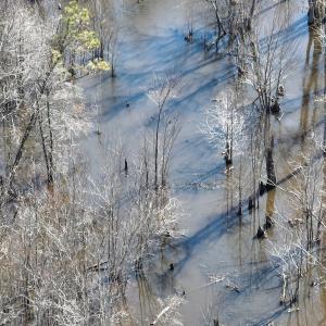 Photo #22 of Off Middle Swamp Rd, Corapeake, NC 234.4 acres