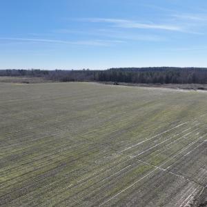 Photo #11 of Off Middle Swamp Rd, Corapeake, NC 234.4 acres