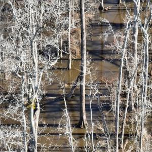 Photo #23 of Off Middle Swamp Rd, Corapeake, NC 234.4 acres