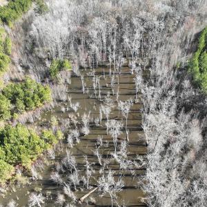 Photo #24 of Off Middle Swamp Rd, Corapeake, NC 234.4 acres