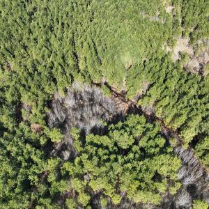 Photo #25 of Off Middle Swamp Rd, Corapeake, NC 234.4 acres