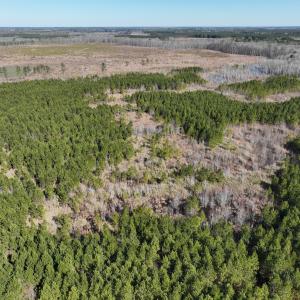 Photo #26 of Off Middle Swamp Rd, Corapeake, NC 234.4 acres
