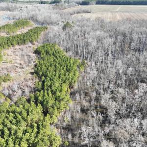 Photo #27 of Off Middle Swamp Rd, Corapeake, NC 234.4 acres