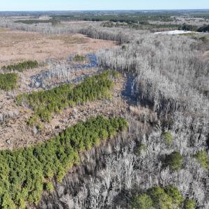 Photo #29 of Off Middle Swamp Rd, Corapeake, NC 234.4 acres