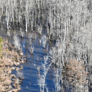Photo #30 of Off Middle Swamp Rd, Corapeake, NC 234.4 acres