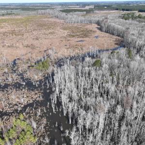 Photo #31 of Off Middle Swamp Rd, Corapeake, NC 234.4 acres
