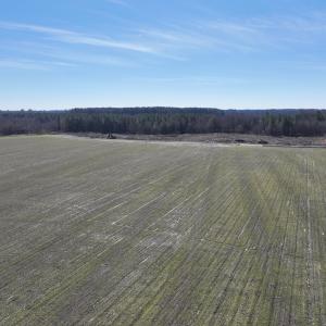 Photo #12 of Off Middle Swamp Rd, Corapeake, NC 234.4 acres