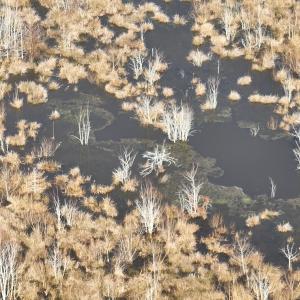 Photo #32 of Off Middle Swamp Rd, Corapeake, NC 234.4 acres