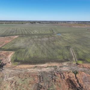 Photo #35 of Off Middle Swamp Rd, Corapeake, NC 234.4 acres