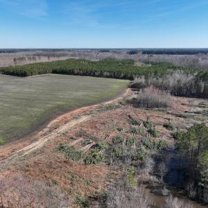 Photo #36 of Off Middle Swamp Rd, Corapeake, NC 234.4 acres