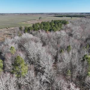 Photo #14 of Off Middle Swamp Rd, Corapeake, NC 234.4 acres