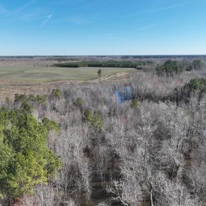 Photo #15 of Off Middle Swamp Rd, Corapeake, NC 234.4 acres