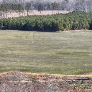 Photo #17 of Off Middle Swamp Rd, Corapeake, NC 234.4 acres