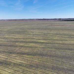 Photo #40 of Off Middle Swamp Rd, Corapeake, NC 234.4 acres