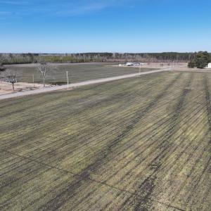 Photo #41 of Off Middle Swamp Rd, Corapeake, NC 234.4 acres