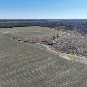 Photo #42 of Off Middle Swamp Rd, Corapeake, NC 234.4 acres