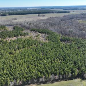 Photo #43 of Off Middle Swamp Rd, Corapeake, NC 234.4 acres