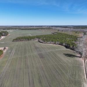 Photo #1 of Off Middle Swamp Rd, Corapeake, NC 49.0 acres