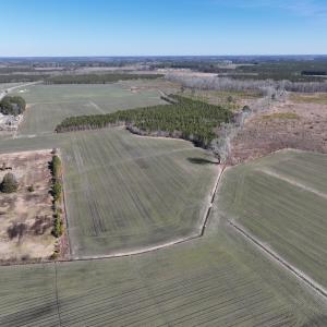 Photo #7 of Off Middle Swamp Rd, Corapeake, NC 49.0 acres